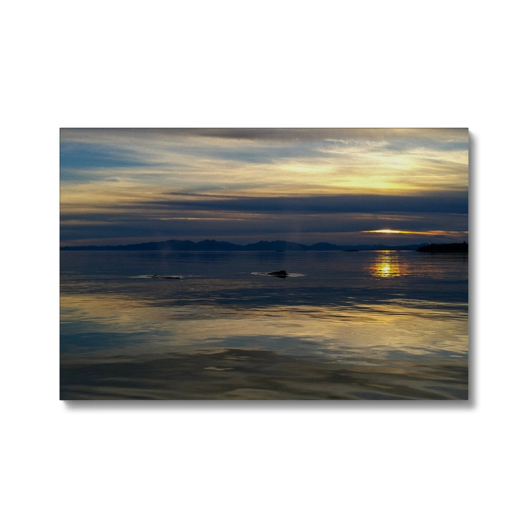 Sonnenuntergang mit Walen - Leinwand