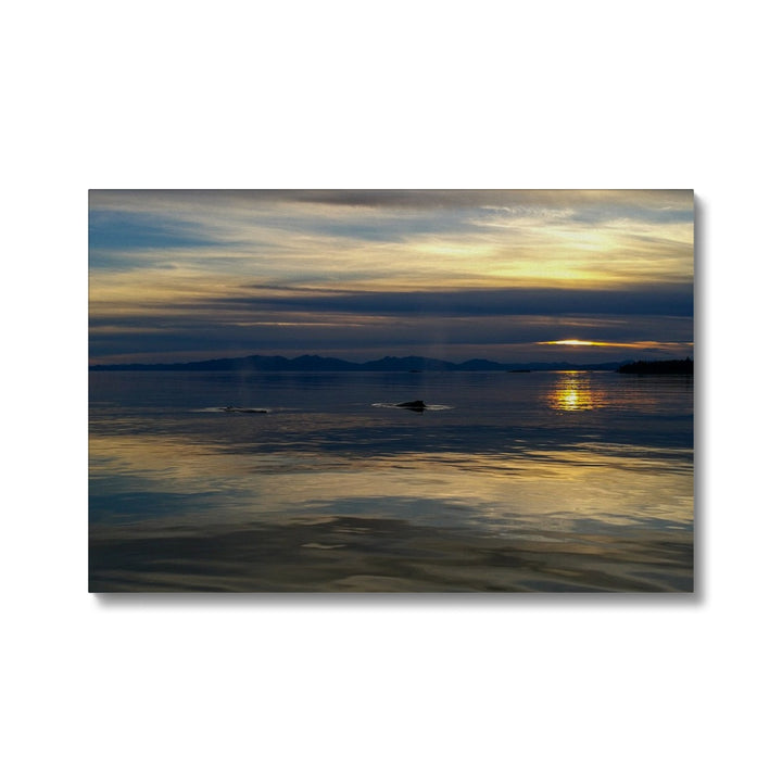 Sonnenuntergang mit Walen - Leinwand