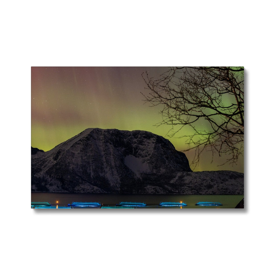 Fish pens across Lundøya with aurora I - Canvas
