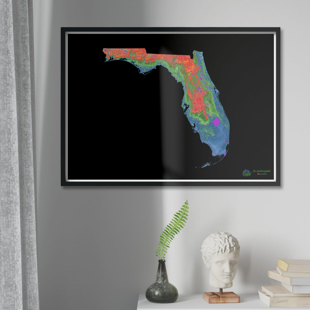 Elevation map of Florida with black background - Fine Art Print