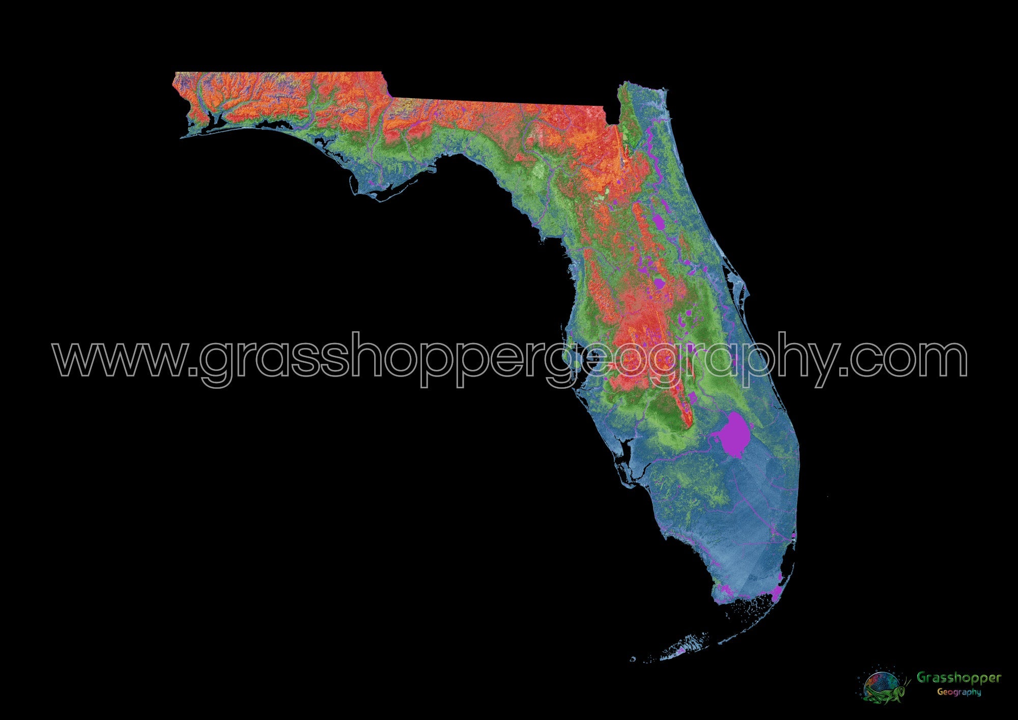 Florida Elevation map black - Elevation Map Of Florida With Black Background Fine Art Print By Grasshopper Geography Licensable 4