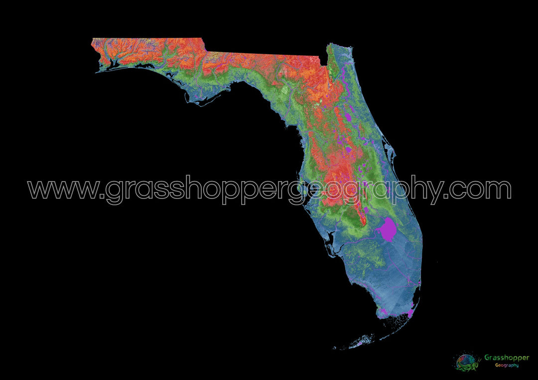 Floride - Carte d'élévation, noir - Tirage d'art