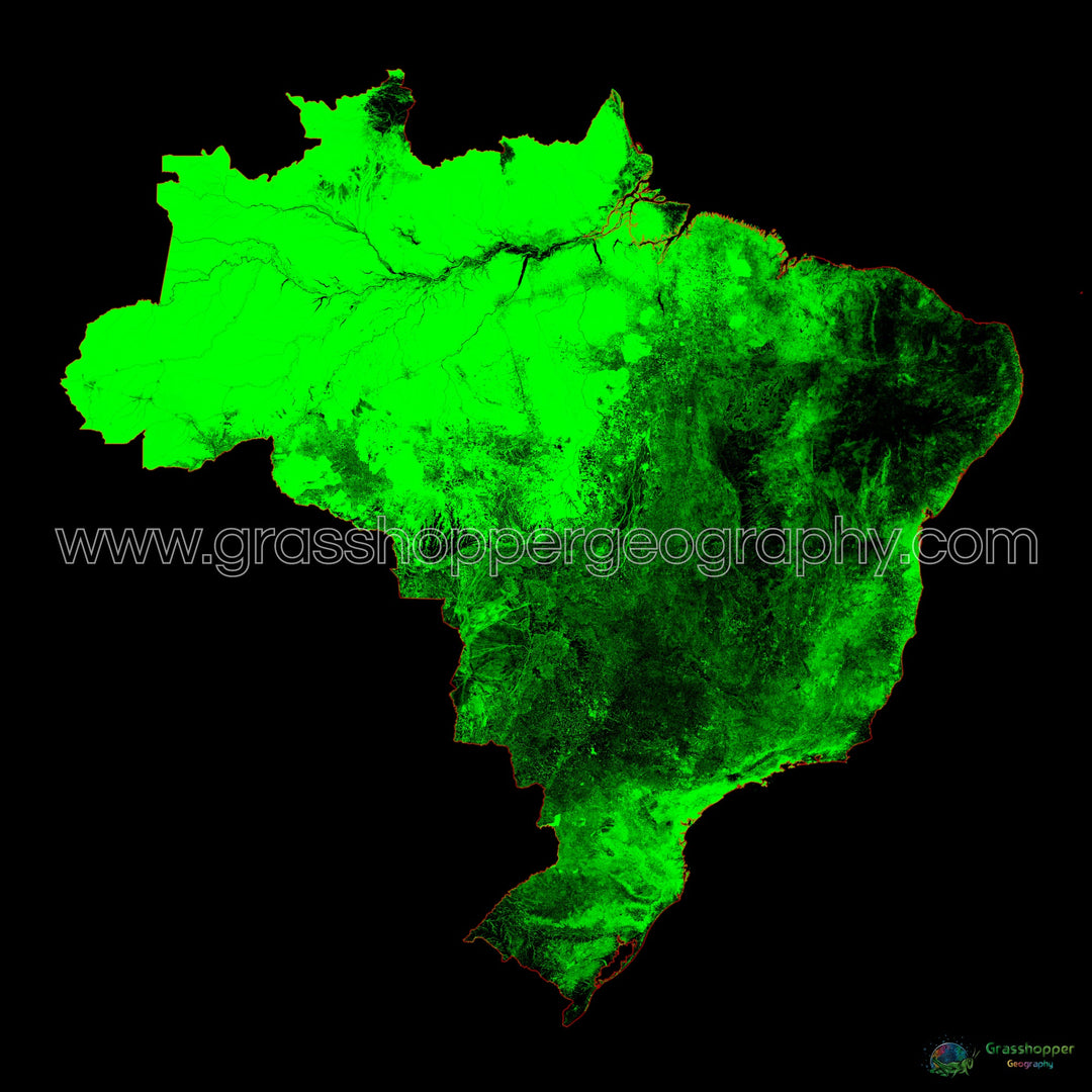 Brasil - Mapa de cobertura forestal - Impresión de Bellas Artes