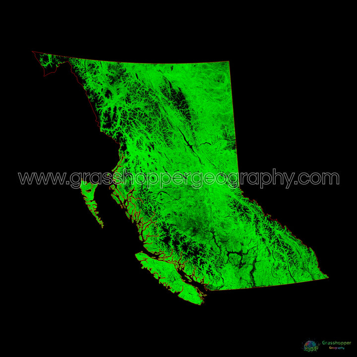 Columbia Británica - Mapa de cobertura forestal - Impresión de bellas artes