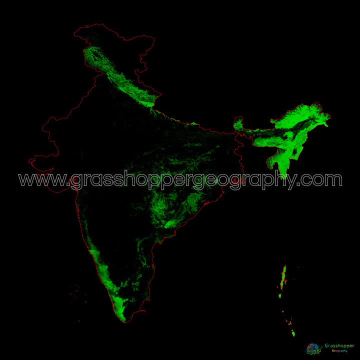 India - Mapa de cobertura forestal - Impresión de bellas artes