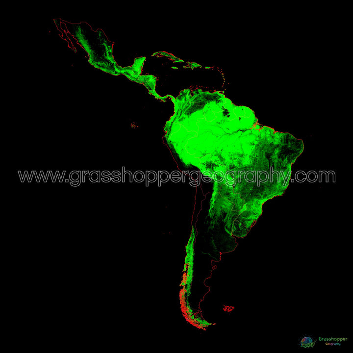 América Latina - Mapa de cobertura forestal - Impresión de Bellas Artes