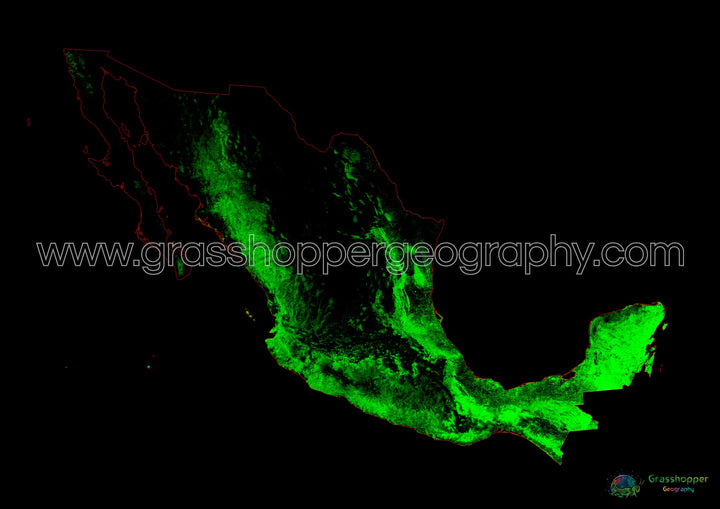 México - Mapa de cobertura forestal - Impresión de Bellas Artes