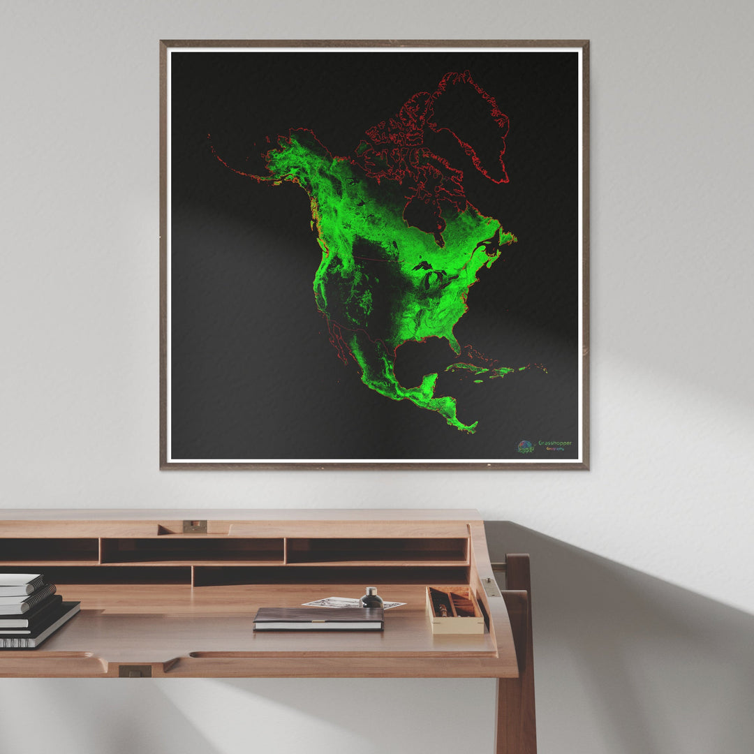 North America - Forest cover map - Fine Art Print