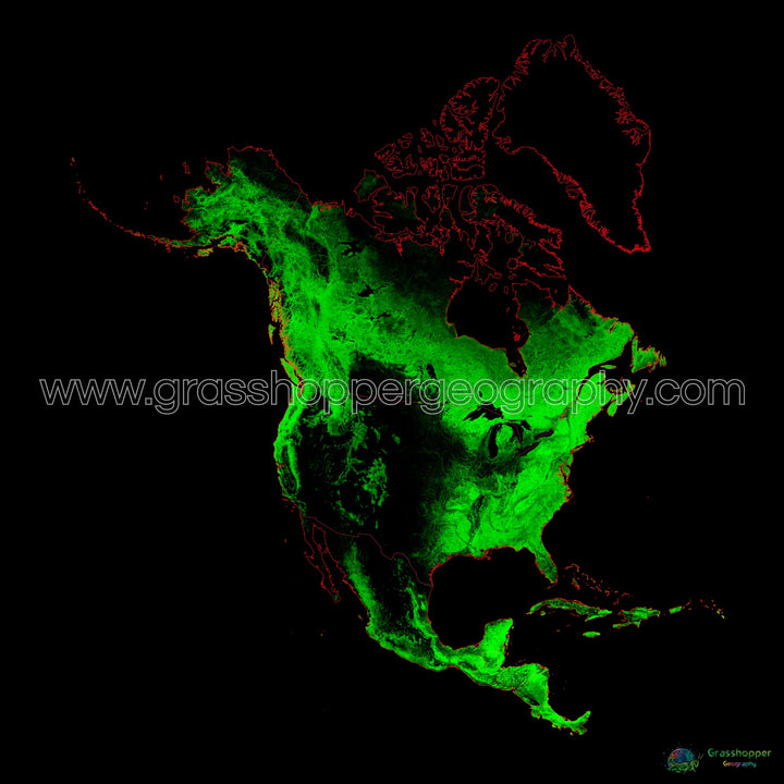 América del Norte - Mapa de cobertura forestal - Impresión de bellas artes