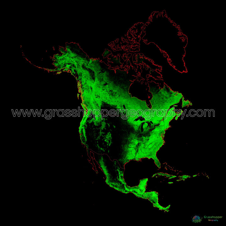 Amérique du Nord - Carte du couvert forestier - Tirage d'art