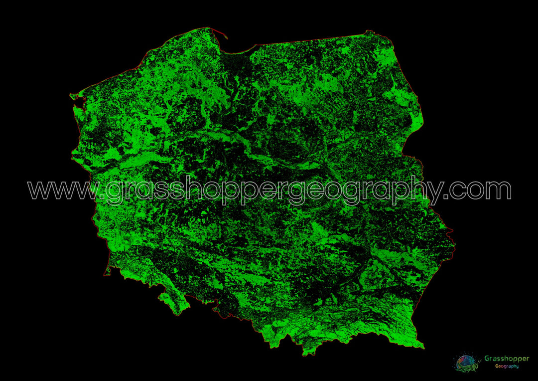 Polonia - Mapa de cobertura forestal - Impresión de bellas artes
