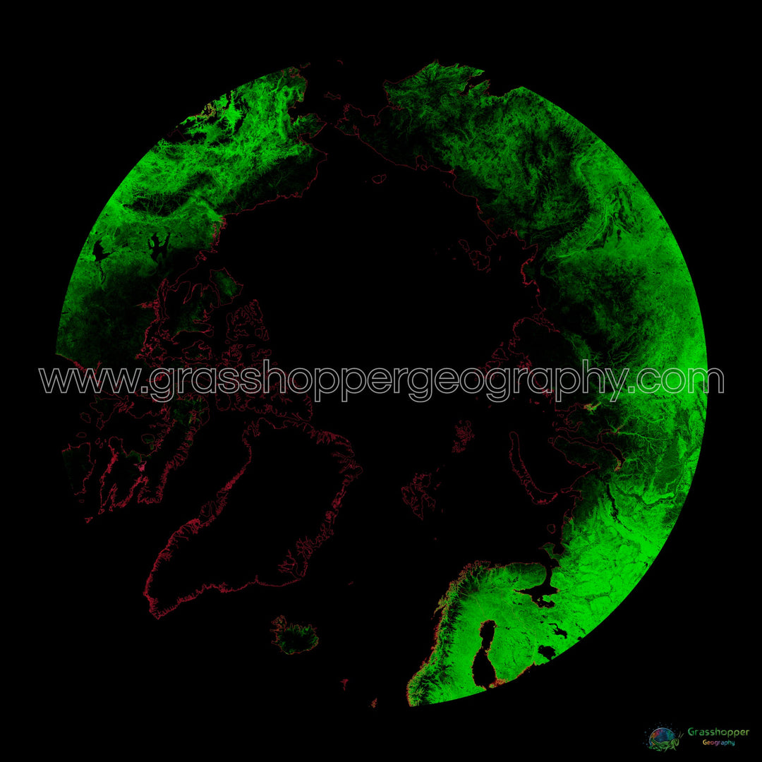 El Ártico - Mapa de cobertura forestal - Impresión de bellas artes