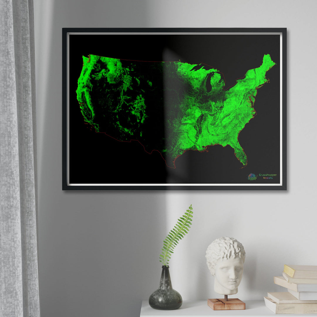 Estados Unidos - Mapa de cobertura forestal - Impresión de bellas artes
