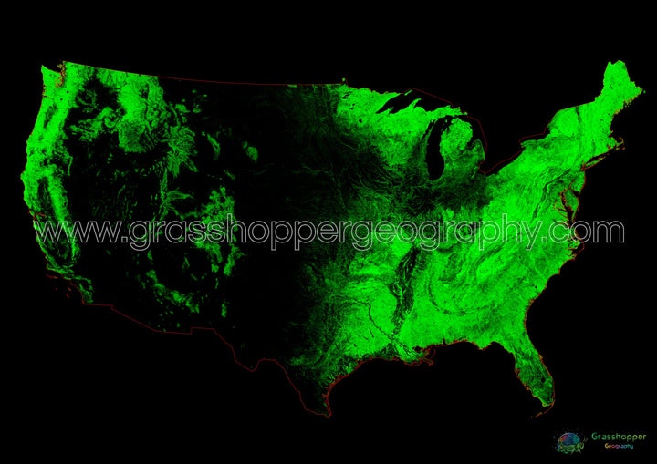 Estados Unidos - Mapa de cobertura forestal - Impresión de bellas artes