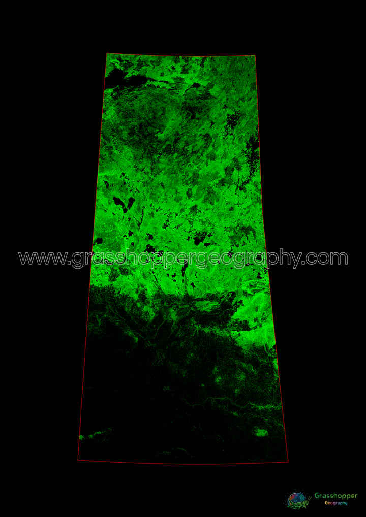Saskatchewan - Mapa de cobertura forestal - Impresión de bellas artes