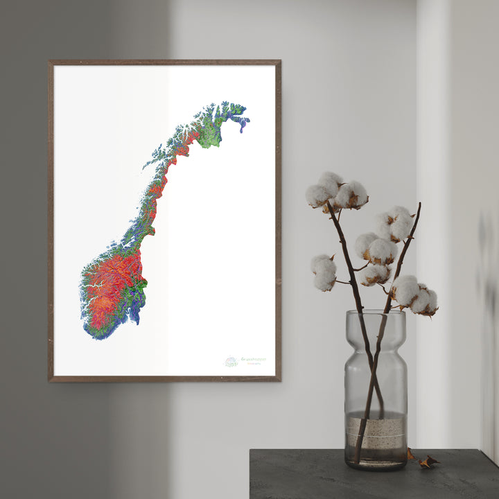 ノルウェー - 標高地図、白 - ファインアートプリント