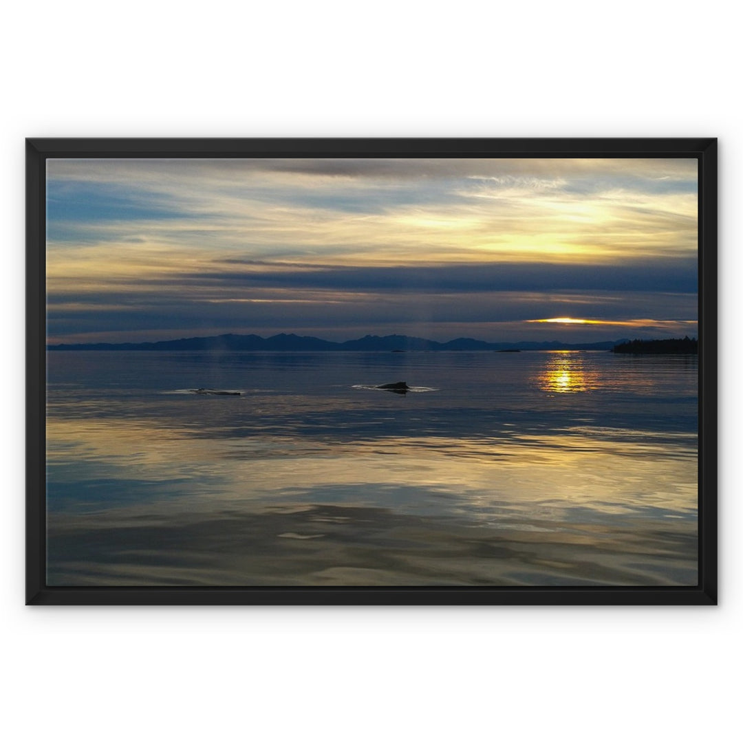 Sunset with whales - Framed Canvas