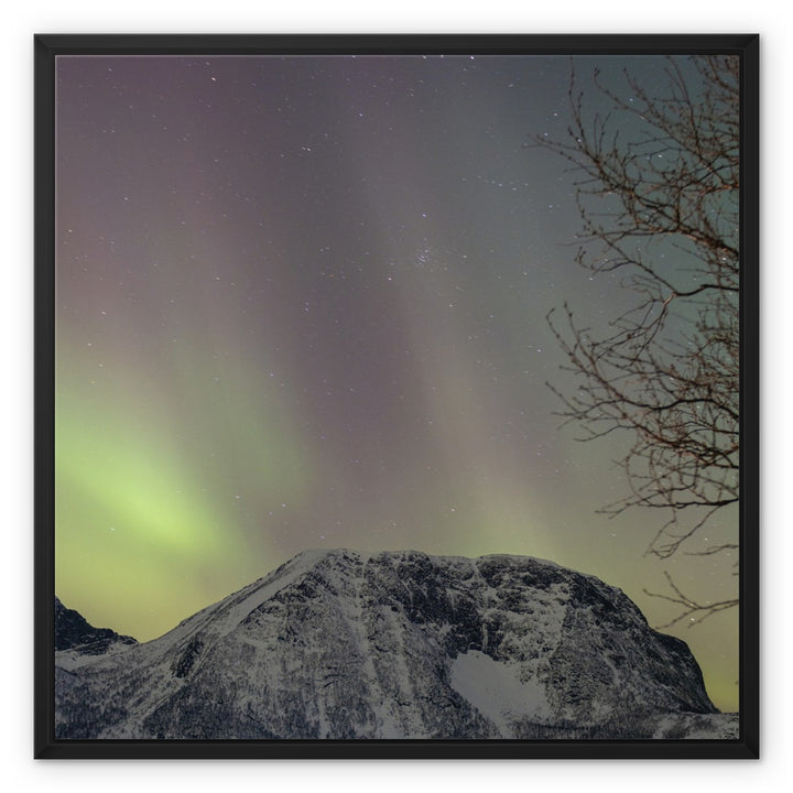 Aurora above Lundøya III - Framed Canvas