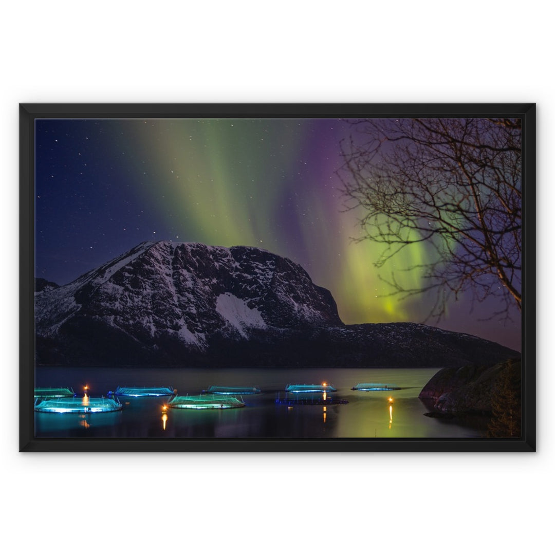 Fish pens across Lundøya with aurora VII - Framed Canvas