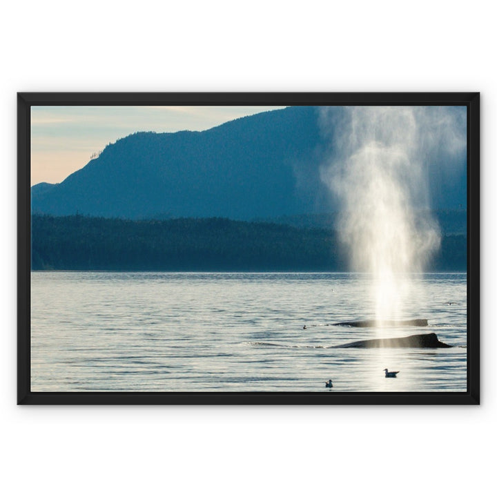 Mist - Framed Canvas