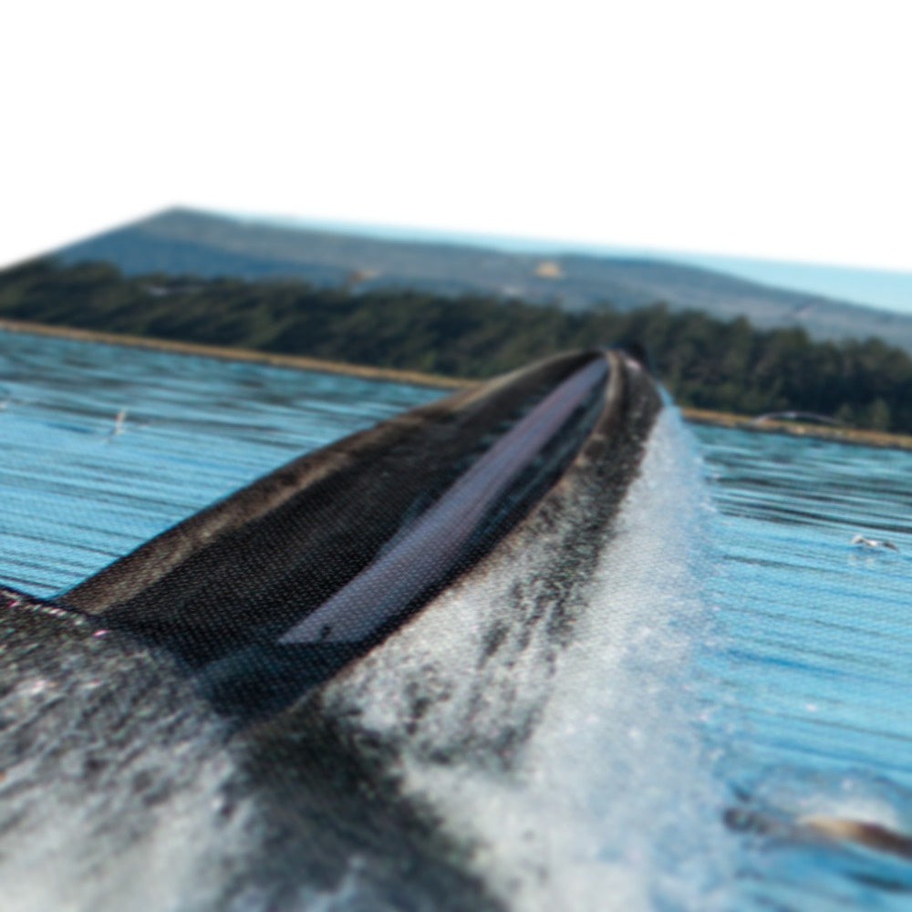 Red de burbujas para ballenas jorobadas alimentándose X - Lienzo