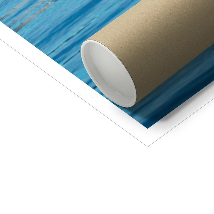 Buckelwale mit Blasennetz füttern X - Fotokunstdruck