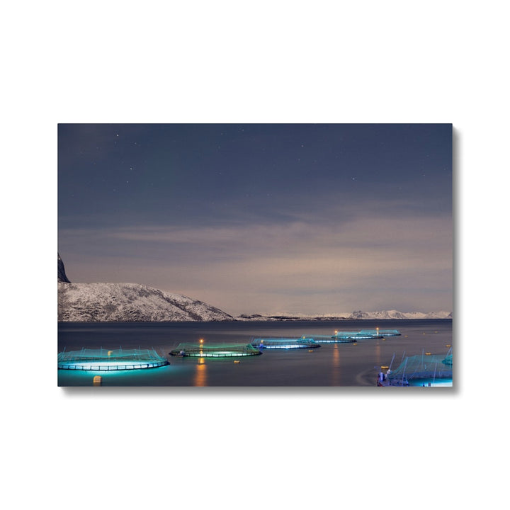 Fischstifte bei Vollmond - Leinwand