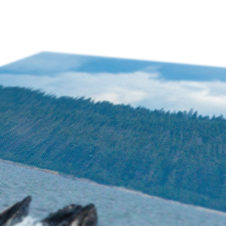 Humpback whales bubblenet feeding XVIII - Canvas
