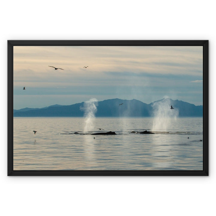 Silhouettes - Framed Canvas