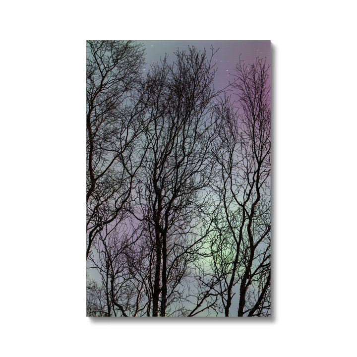 The three witches - Canvas
