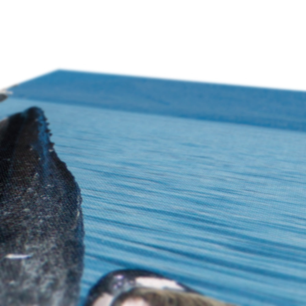 Humpback whales bubblenet feeding III - Canvas