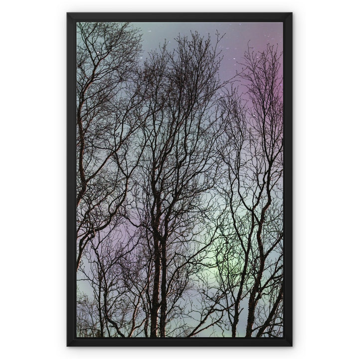 The three witches - Framed Canvas