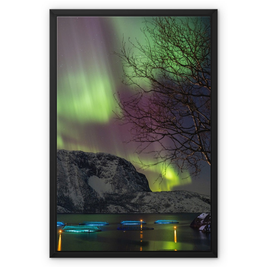 Fish pens across Lundøya with aurora II - Framed Canvas