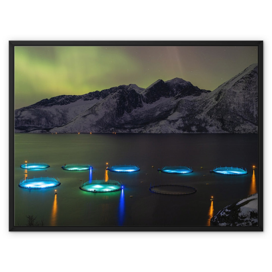 Fish pens across Lundøya with aurora IV - Framed Canvas